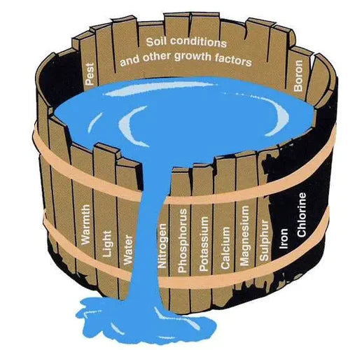 What do the different Macro and Micro Nutrients Do?