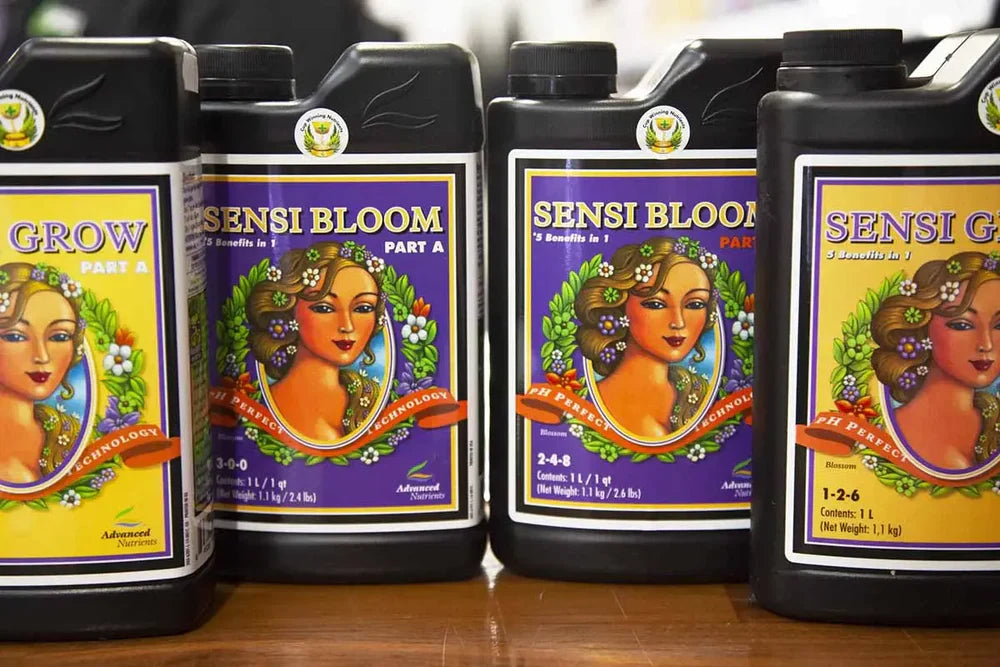 Advanced Nutrients Sensi Bloom