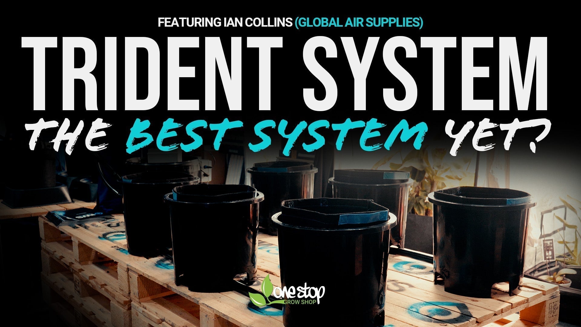 Why the IWS Trident Pro is a Game-Changer for Hydroponic Growing? Ft. Ian Collins