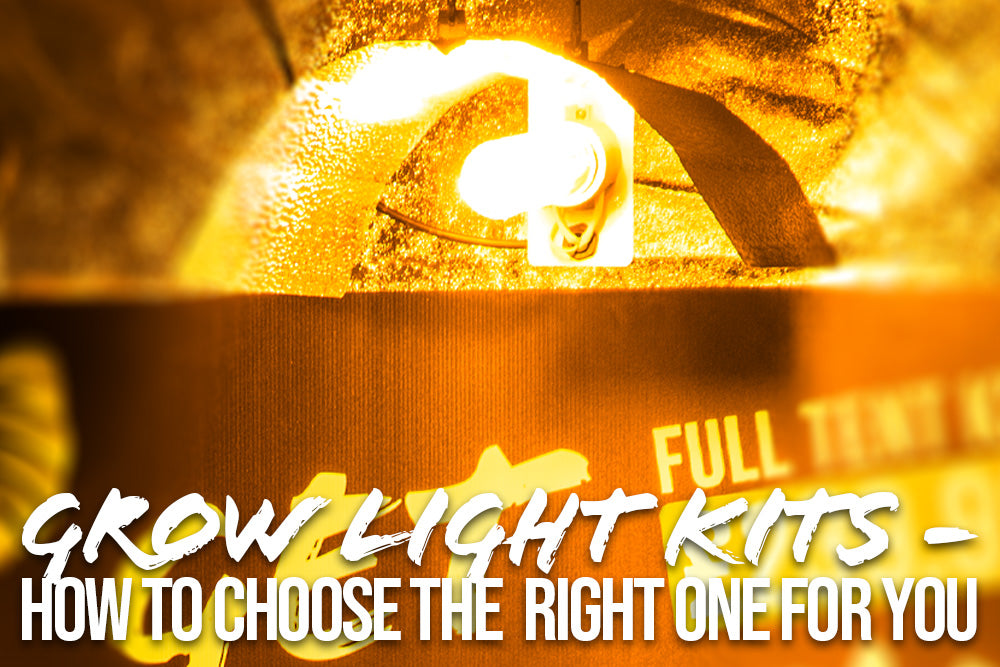 Grow Light Kits – How to choose the right one for you