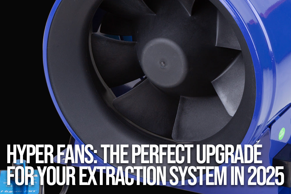 Hyper Fans: The Perfect Upgrade for Your Extraction System in 2025