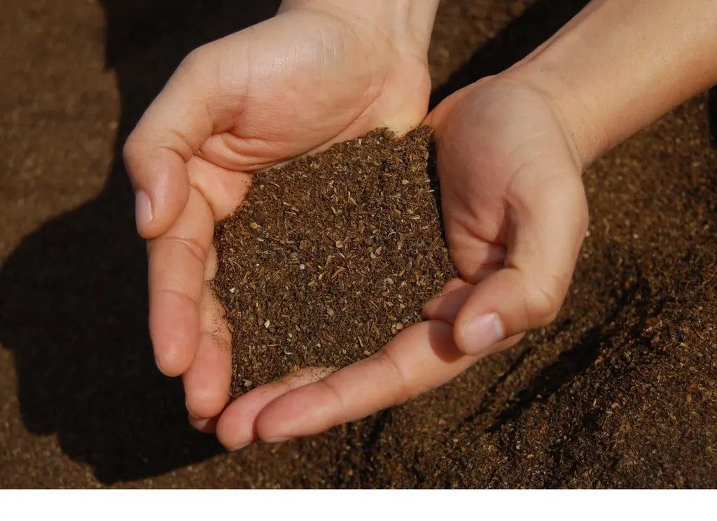 Beetle Larvae Poo for Faster Growing, Healthier Plants - Errrr... What? Really?