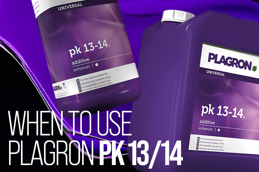 When to use Plagron PK 13/14