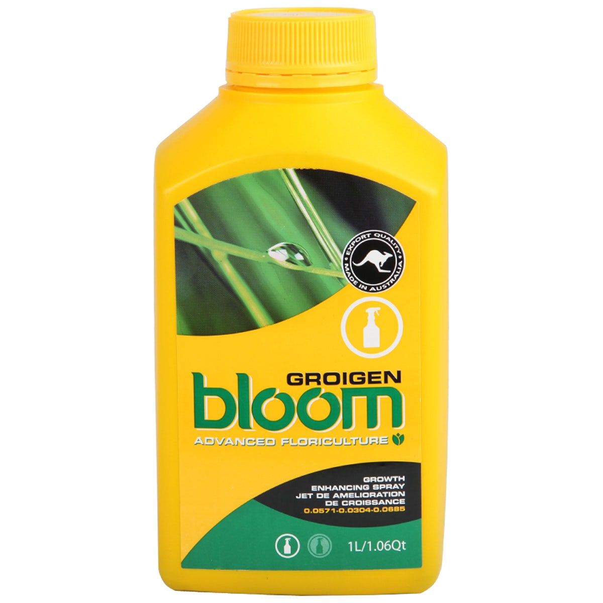 Bloom - GROIGEN - Super Concentrate