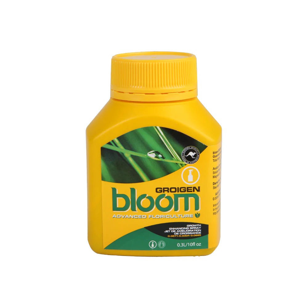 Bloom Groigen 300ml