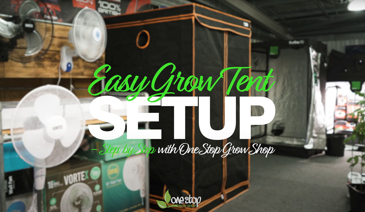 Easy grow tent set up