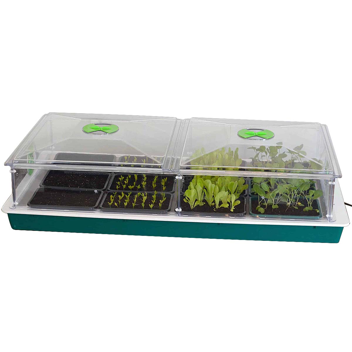 Large Vitopod Propagator Angled