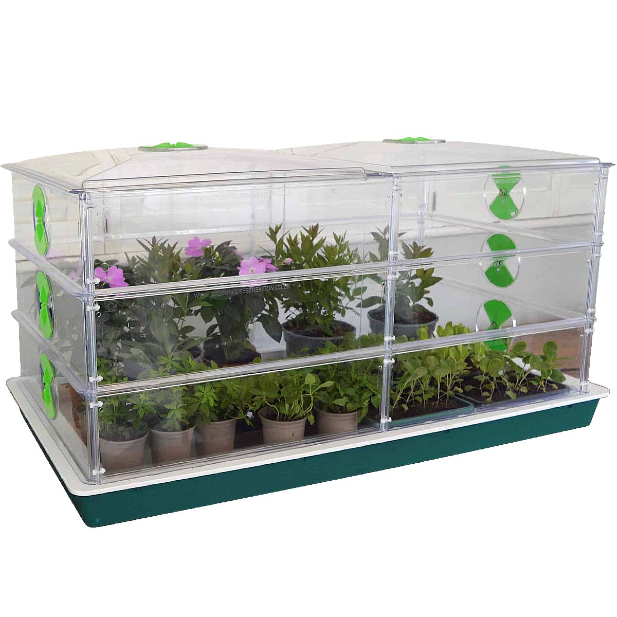 Large Vitopod Propagator with Two Extra Layers