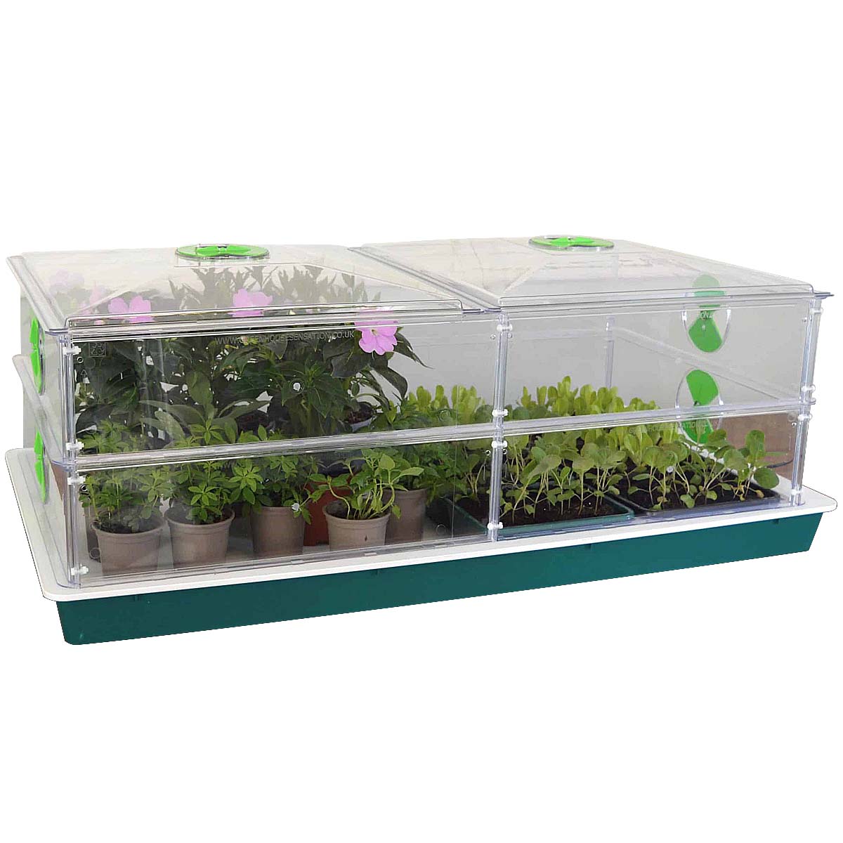 Large Vitopod Propagator with Extra Layer