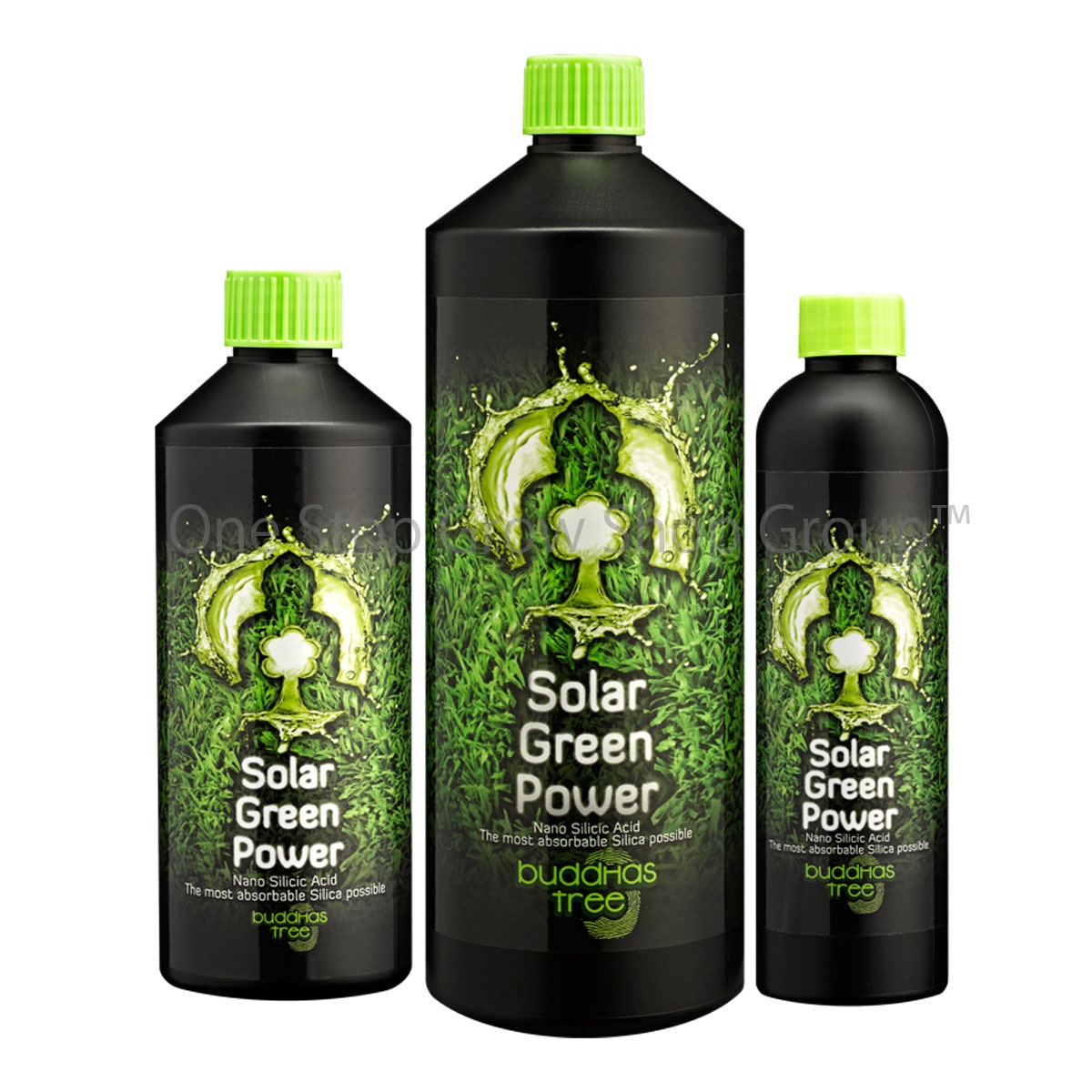 Buddhas Tree - Solar Green Power